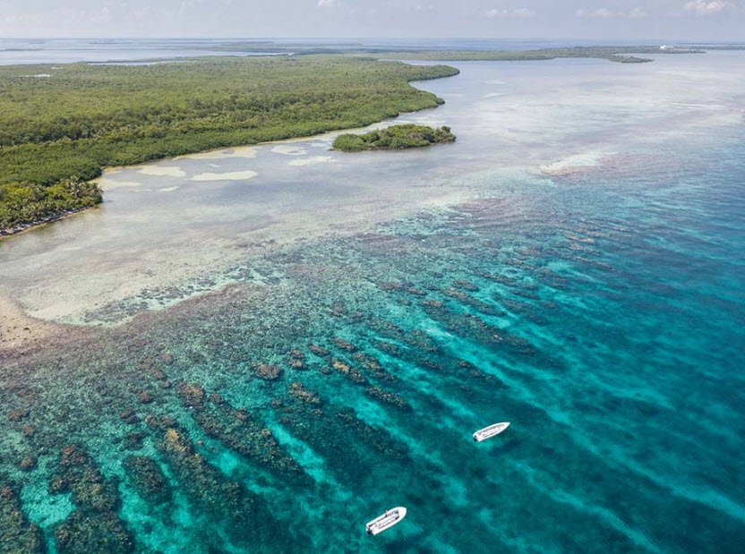 Turneffe Atoll , Offshore Belize, Belize